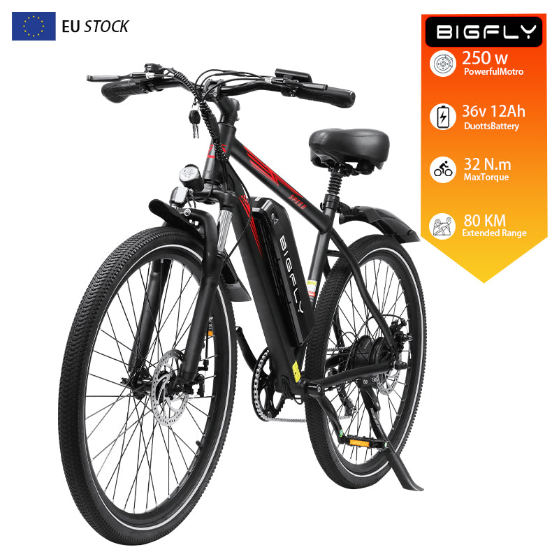 Bigfly BK15 Max 250w Rear Drive Motor 36V 12Ah Battery Mountain Off-Road Electric Bike Kukirin EU
