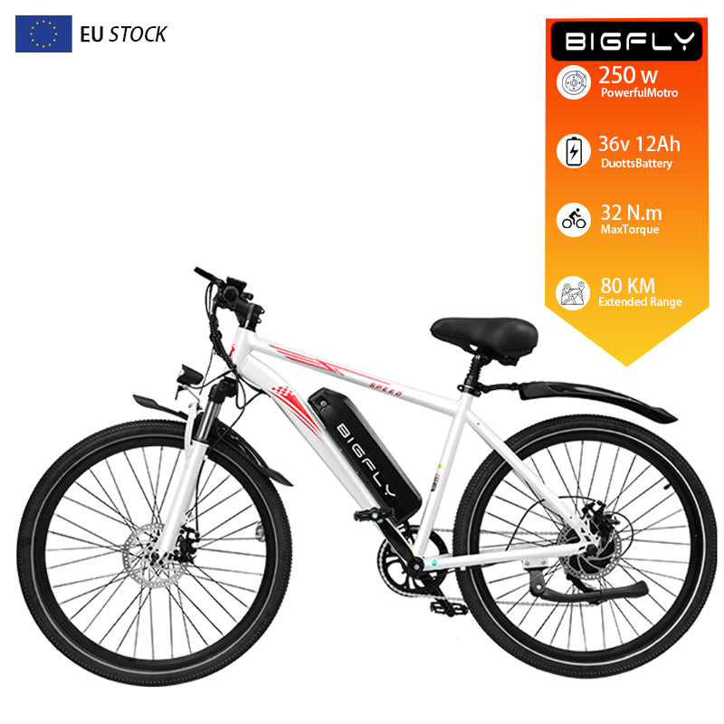 Bigfly BK15 Max 250w Rear Drive Motor 36V 12Ah Battery Mountain Off-Road Electric Bike Kukirin EU