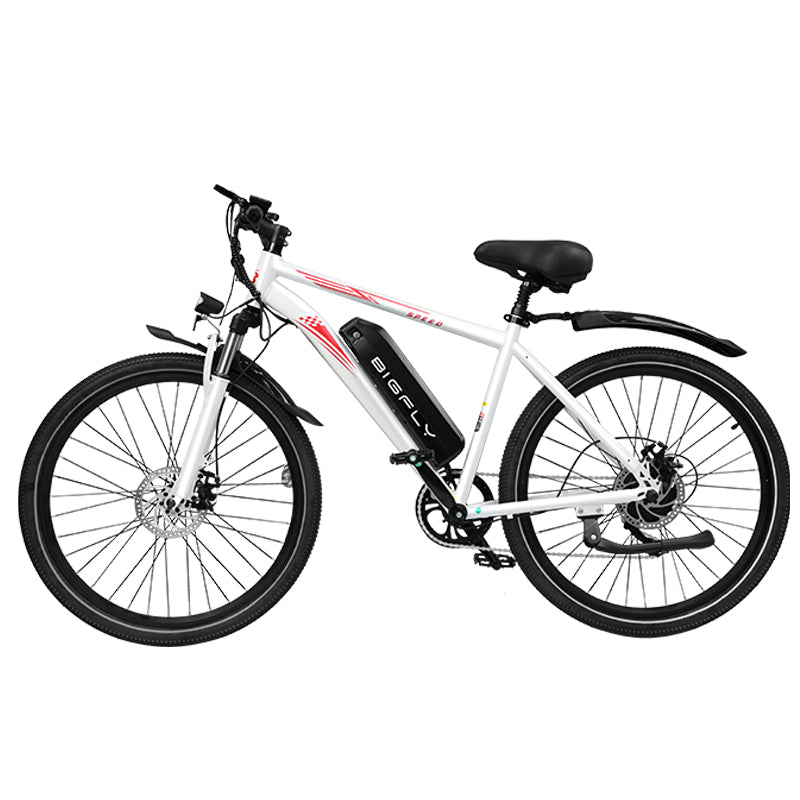 Bigfly BK15 Max 250w Rear Drive Motor 36V 12Ah Battery Mountain Off-Road Electric Bike Kukirin EU