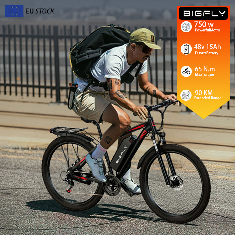 Bigfly C29 Ultra 750w Rear Drive Motor 48V 15Ah Battery Mountain Off-Road Electric Bike Kukirin EU